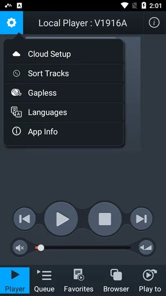 mconnect Player付费版