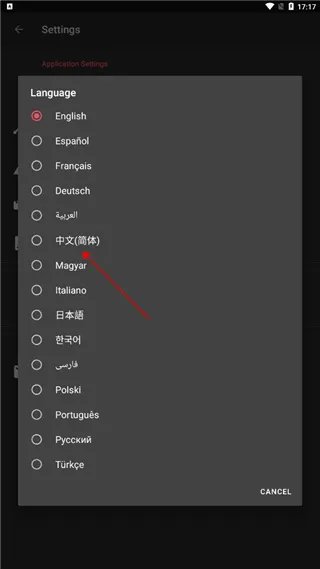 AndroVid Pro中文版