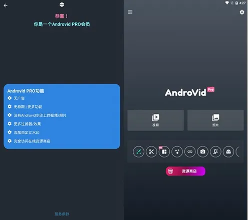 AndroVid Pro中文版