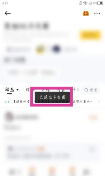 懂车帝极速版