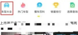 懂车帝极速版