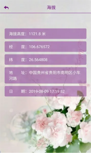 嘉利海拔仪