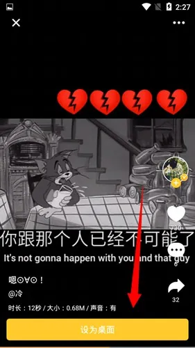 bi视频桌面软件