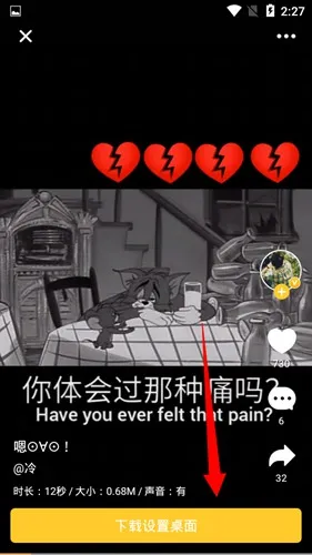 bi视频桌面软件