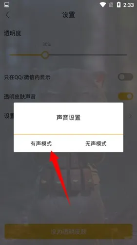 bi视频桌面软件