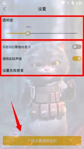 bi视频桌面软件