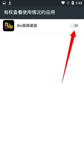 bi视频桌面软件
