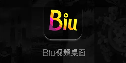 bi视频桌面软件