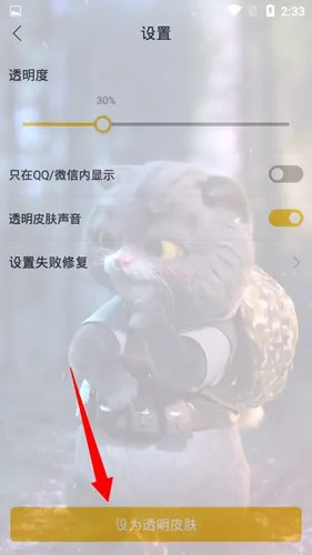 bi视频桌面软件