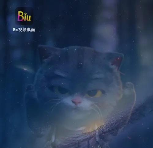 bi视频桌面软件
