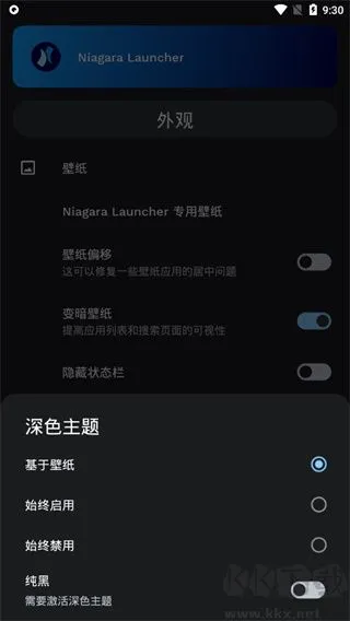 Niagara Launcher高级版