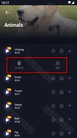 MP3转换编辑器