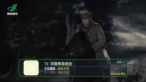 壁虎电视