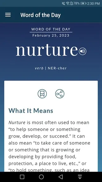 Merriam Webster Dictionary