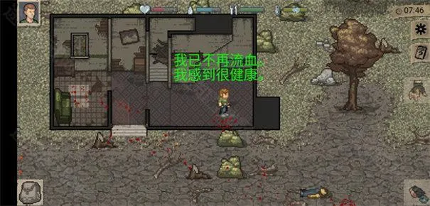 dayz手机版
