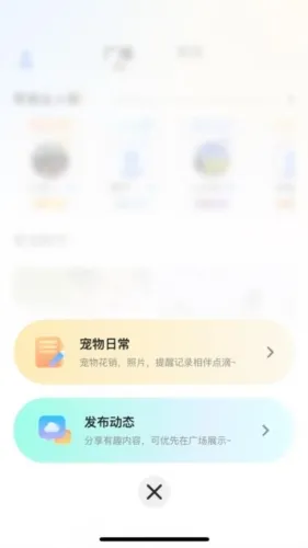 哆伽宠