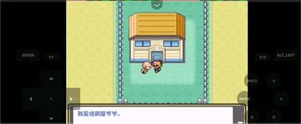 精灵宝可梦燃之智汉化版