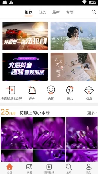 安卓壁纸破解版无广告
