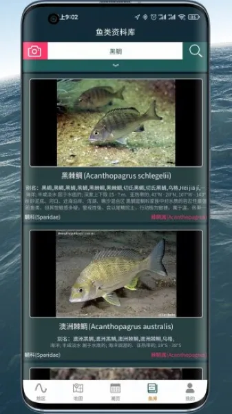 潮汐表精灵2025