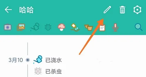 多肉成长记
