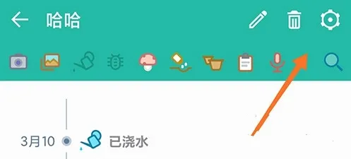 多肉成长记