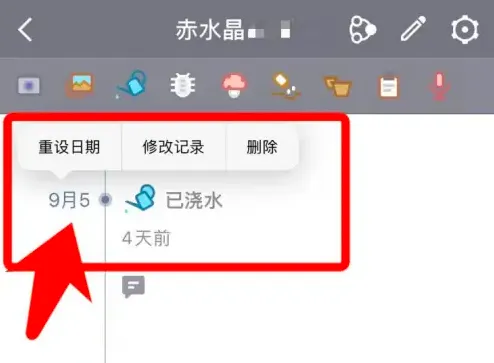 多肉成长记