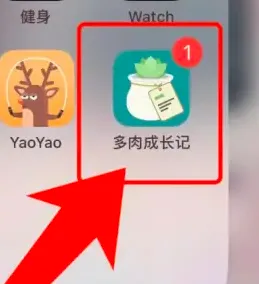 多肉成长记