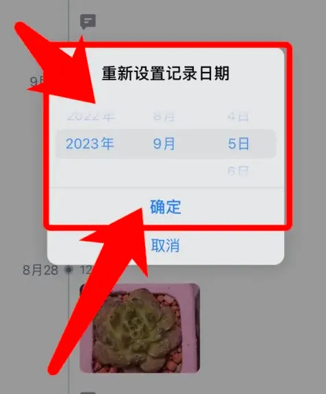多肉成长记