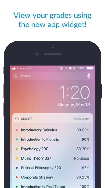 Canvas Student